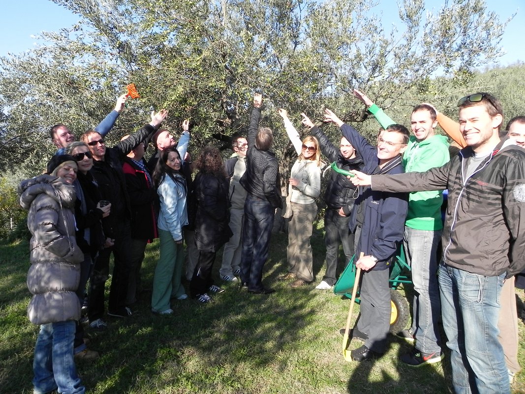 Olives, wine and truffles - Slovenian Istria