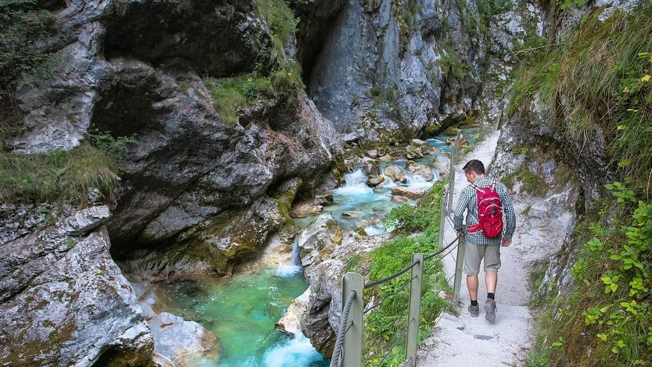 korona korita korona korita