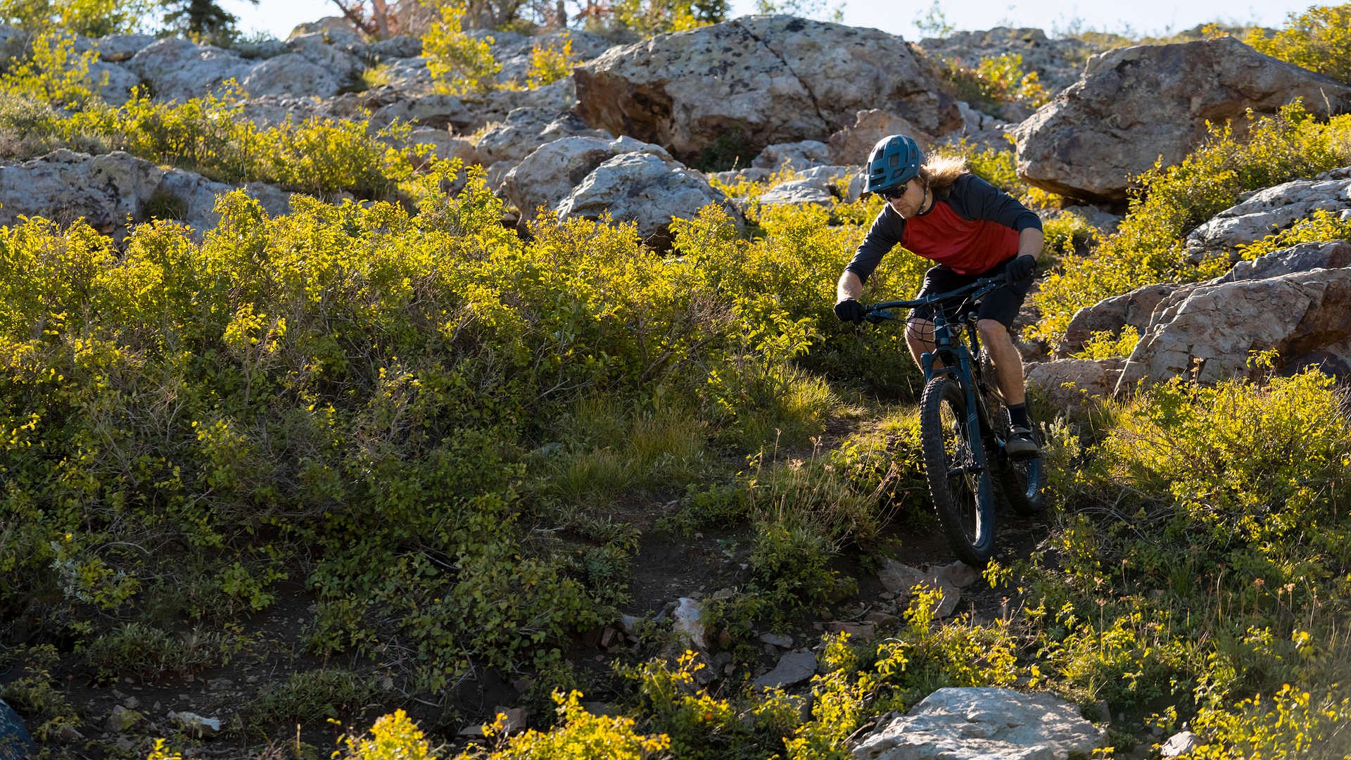 HALF-DAY CYCLING TRIPS