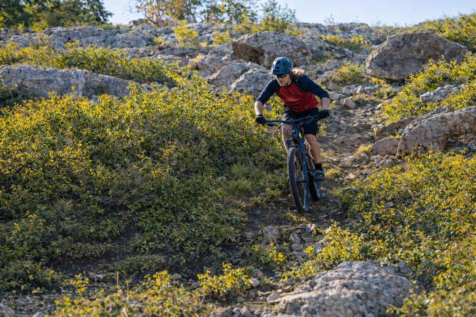 ESCURSIONI IN BICICLETTA DI MEZZA GIORNATA