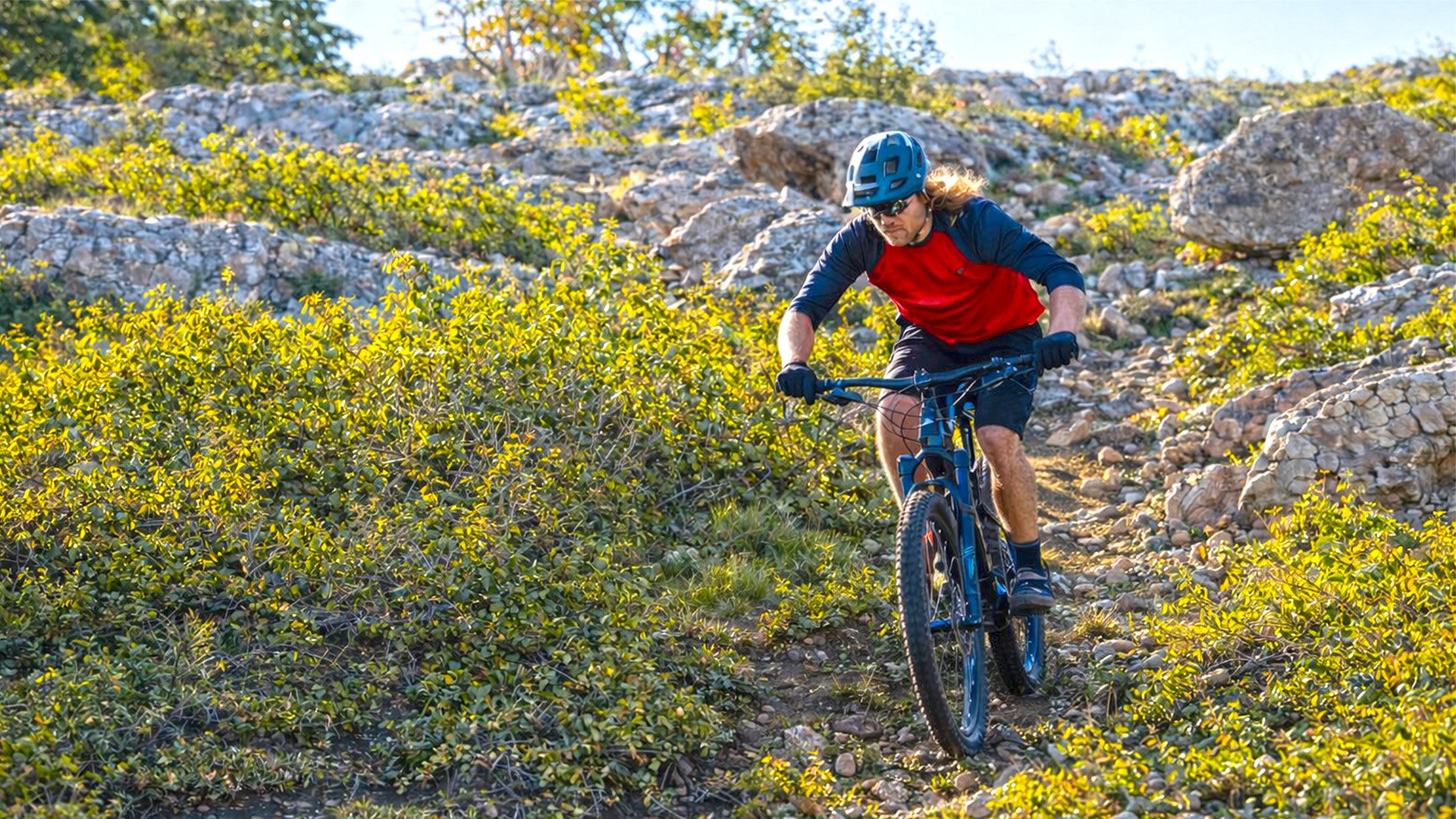 HALF-DAY CYCLING TRIPS